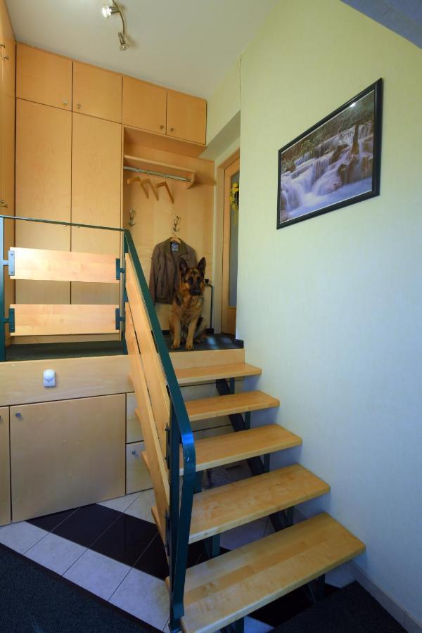 Schrems  Ferienappartement Regina מראה חיצוני תמונה